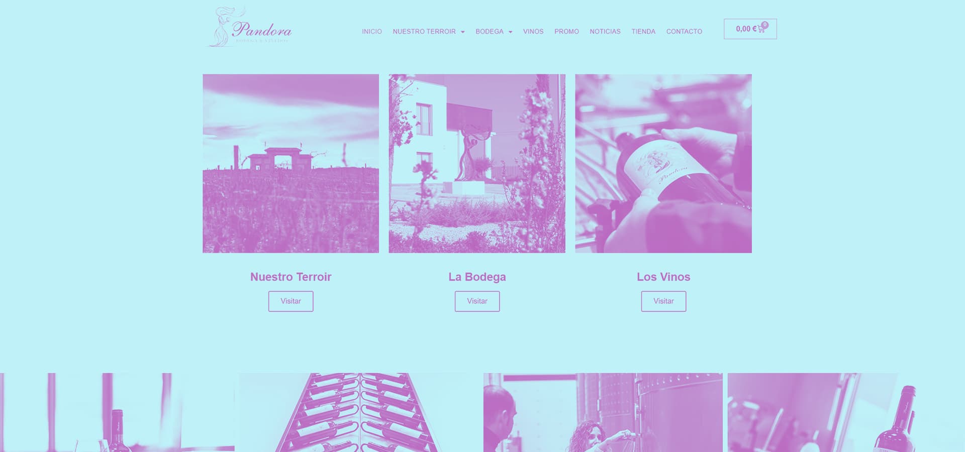 Lee más sobre el artículo Diseño de páginas web para bodegas